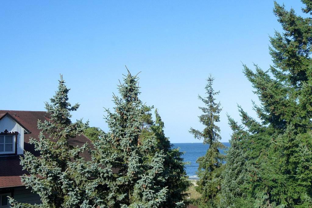 Inselstrand Inselstrand 1320 Χέρινγκσντορφ Εξωτερικό φωτογραφία